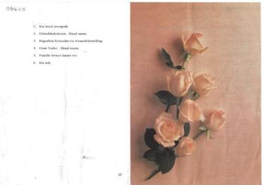 BEETS-Petronella-Maria-Hendrika-nee-Gustafson-1939-2000-F