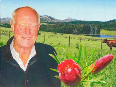 BURGH-VAN-DER-Surnames-Vanne