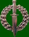DEACON-Alex-UnkDate-2026-SA.SpecialForcesAssociation.Sergeant-M-06