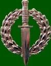 DEACON-Alex-UnkDate-2026-SA.SpecialForcesAssociation.Sergeant-M-06