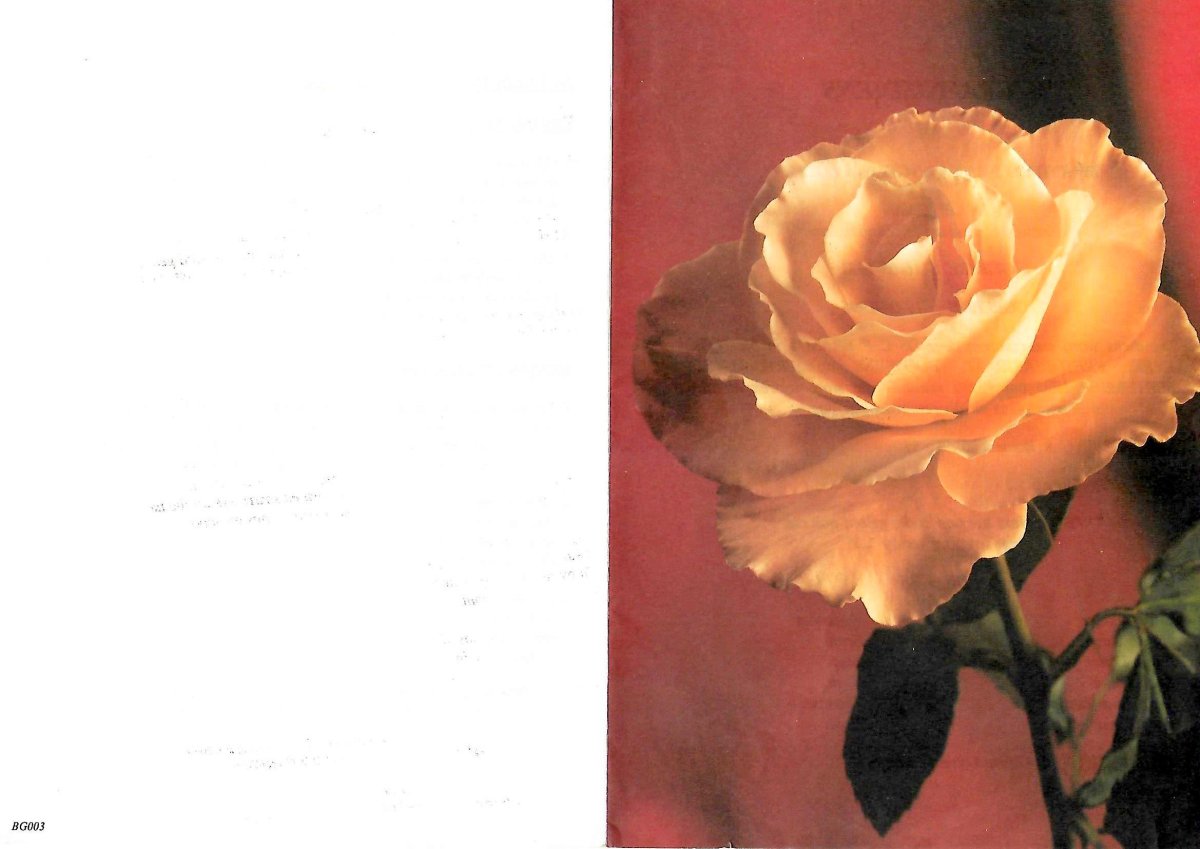 LÖTTER-Martha-Susanna-Angelica-1931-1995-F_1