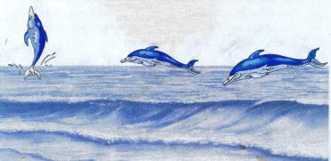VISSER-Coenraad-Hendrik-Erasmus-Nn-Visser-1938-2002-M_98